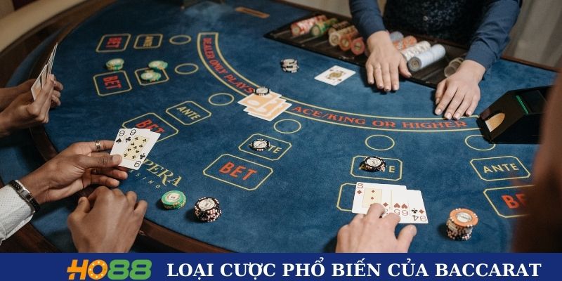 Các loại cược phổ biến của Baccarat tại HO88