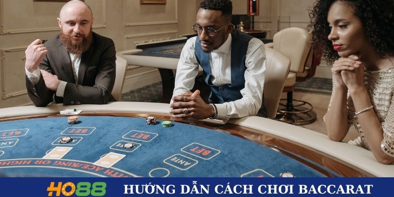 Hướng dẫn cách chơi Baccarat tại HO88