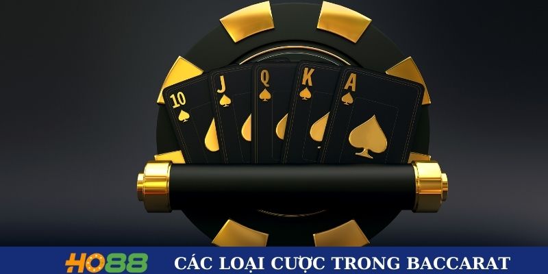 Các loại cược trong Baccarat tốc độ tại Ho88