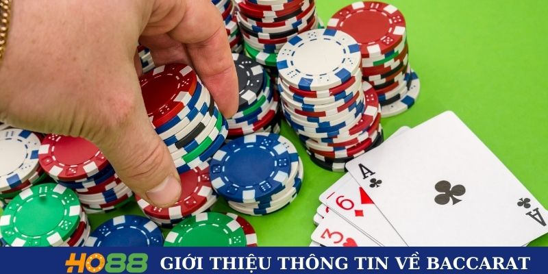 Giới thiệu qua các thông tin về Baccarat tốc độ