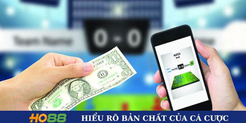 Hiểu rõ bản chất làm thế nào để không thua cá cược
