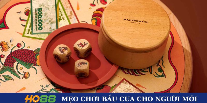 Mẹo chơi bầu cua cho người mới bắt đầu