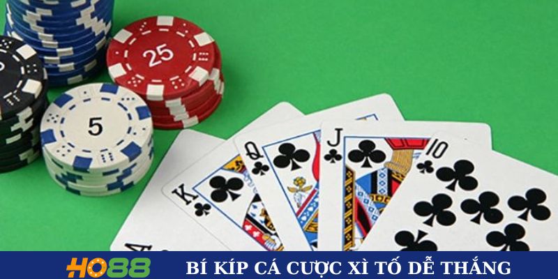 Bí kíp cá cược xì tố dễ thắng từ chuyên gia 