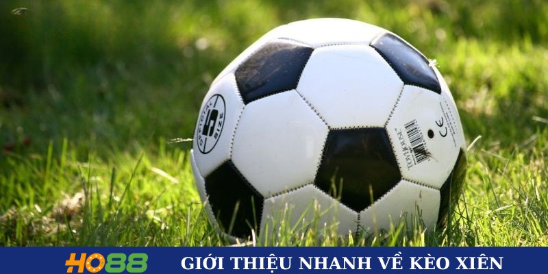 Giới thiệu nhanh về kèo xiên 
