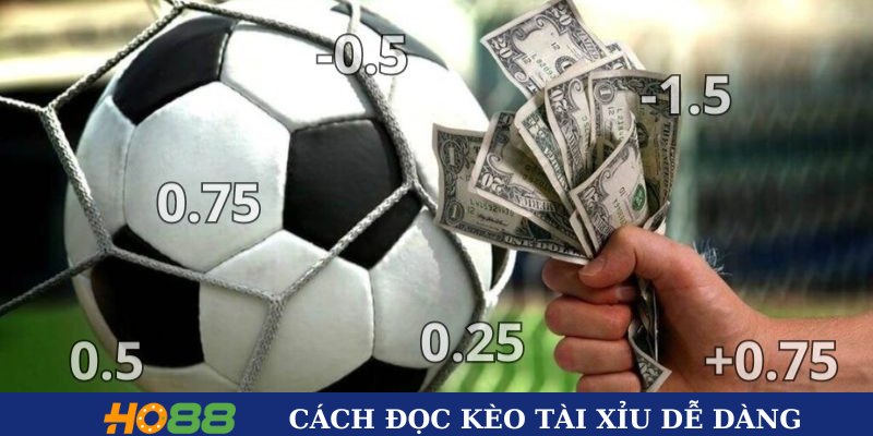 Chi tiết cách đọc kèo tài xỉu dễ dàng Chi tiết cách đọc kèo tài xỉu dễ dàng