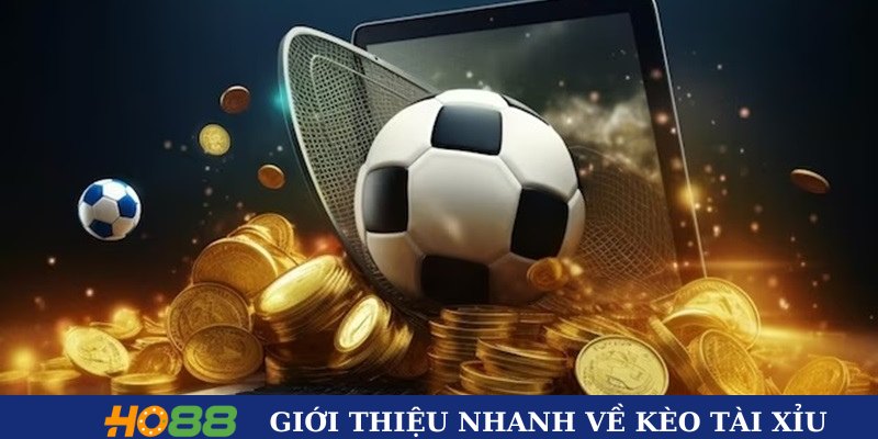 Giới thiệu nhanh về kèo tài xỉu Giới thiệu nhanh về kèo tài xỉu