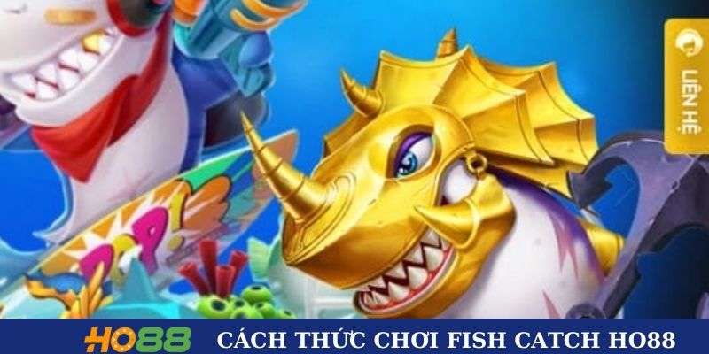 Từng bước tham gia chơi game cho cược thủ