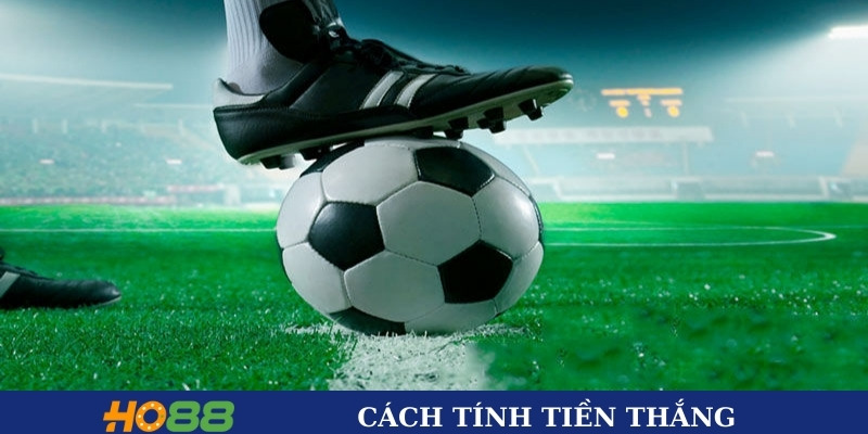 Cách tính tiền thắng chi tiết Cách tính tiền thắng chi tiết