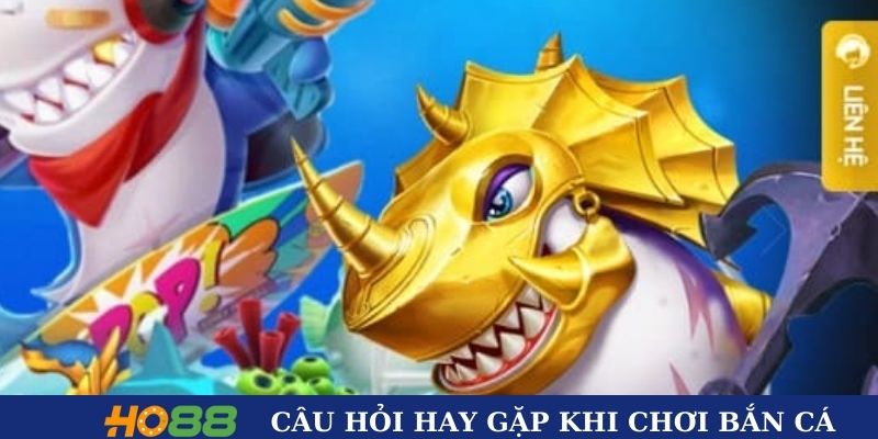 Câu hỏi hay gặp khi chơi bắn cá tỷ phú đại dương