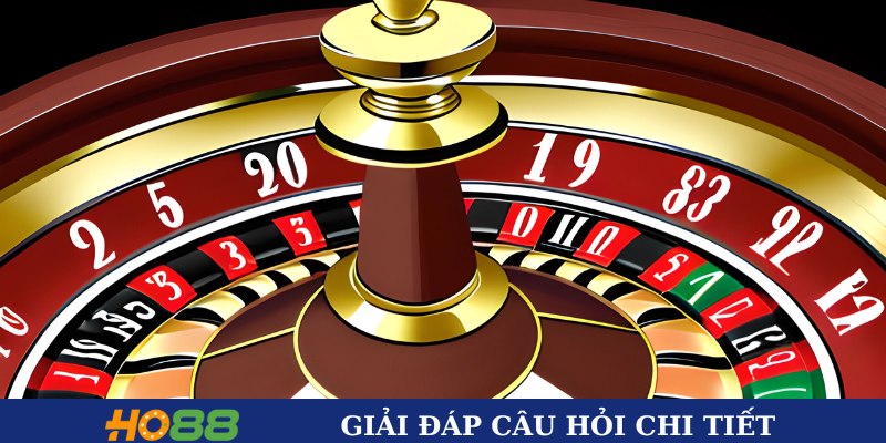 Giải đáp chi tiết thắc mắc