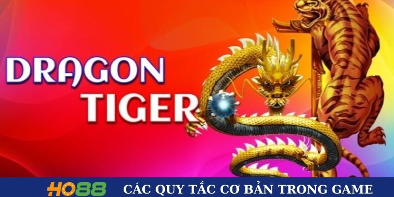 Các quy tắc cơ bản trong Dragon Tiger
