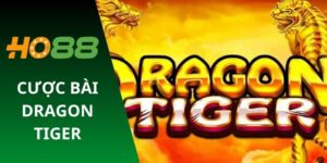 Cược bài Dragon Tiger
