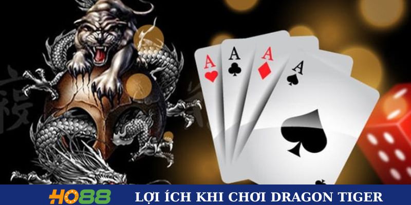 Lợi ích khi chơi Dragon Tiger tại Ho88