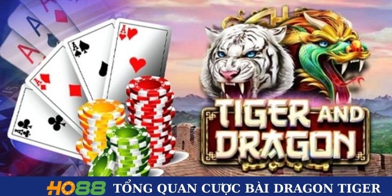 Tổng quan về cược bài Dragon Tiger