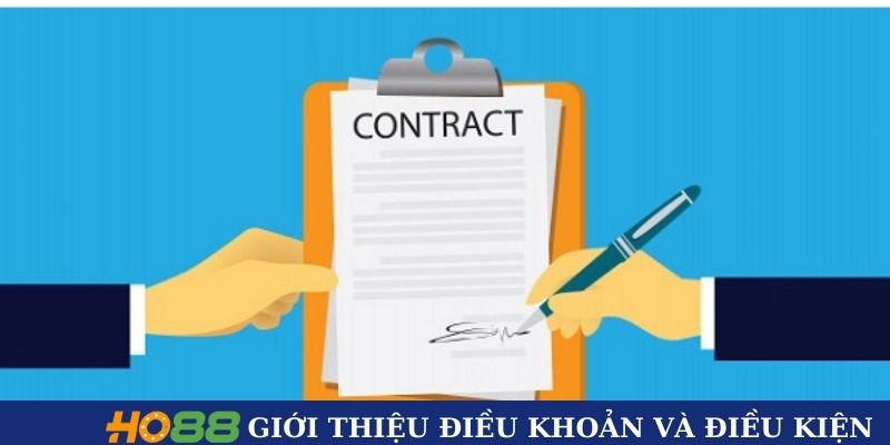 Giới thiệu khái quát về khái niệm điều khoản và điều kiện