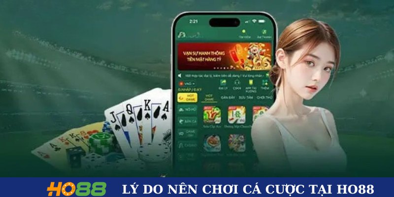 Lý do nên chơi cá cược tại HO88
