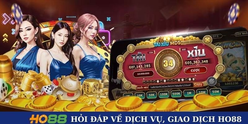 Hỏi đáp về dịch vụ, giao dịch Ho88 Hỏi đáp về dịch vụ, giao dịch Ho88