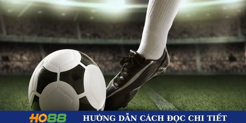 Hướng dẫn cách đọc chi tiết Hướng dẫn cách đọc chi tiết