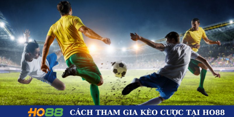 Cách tham gia kèo cược tại HO88 Cách tham gia kèo cược tại HO88