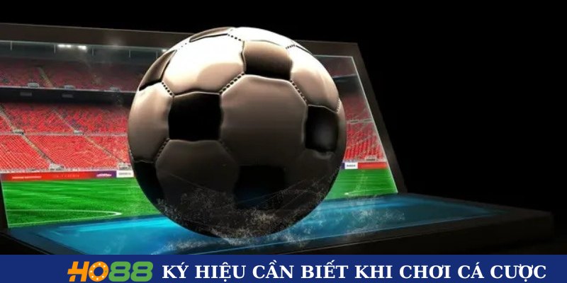 Các ký hiệu cần biết khi chơi cá cược Các ký hiệu cần biết khi chơi cá cược