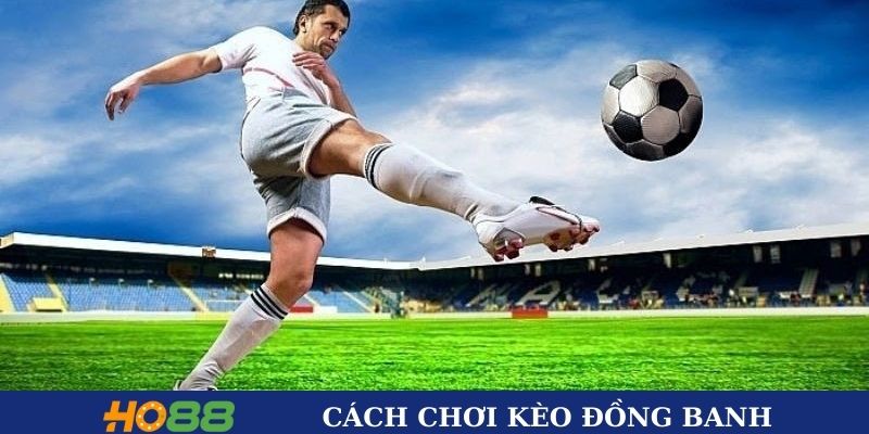Cách chơi kèo hòa chi tiết nhất 2025