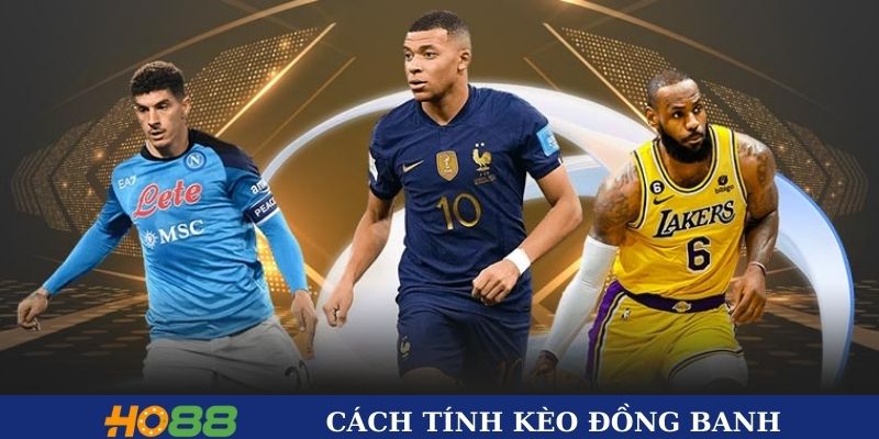 Cách tính cược đồng banh chuẩn cho người mới