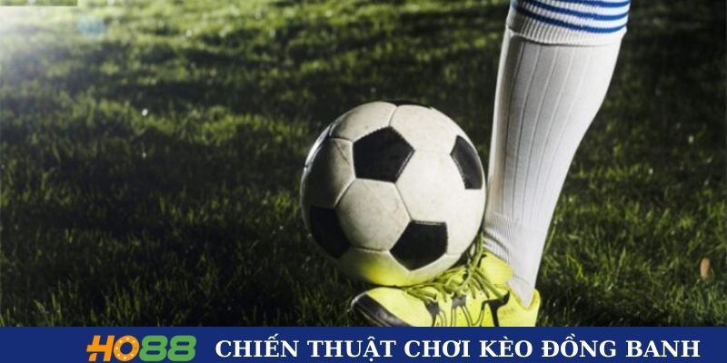 Bí kíp cược đồng banh hiệu quả từ cao thủ