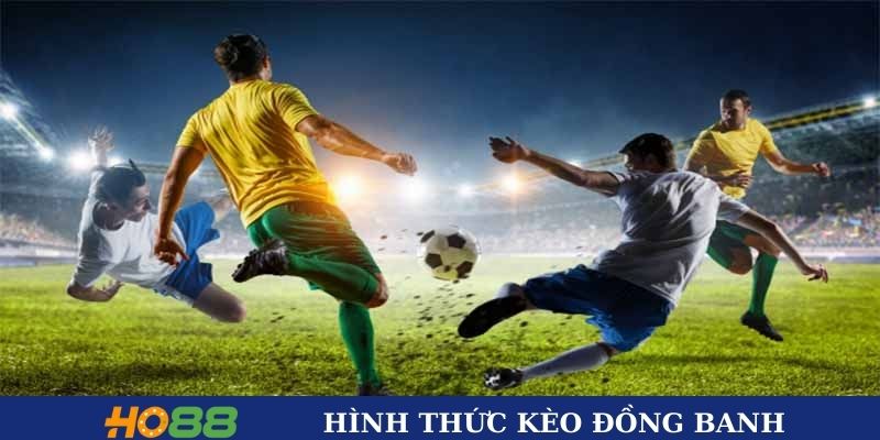 Hình thức cược đồng banh thường gặp nhất
