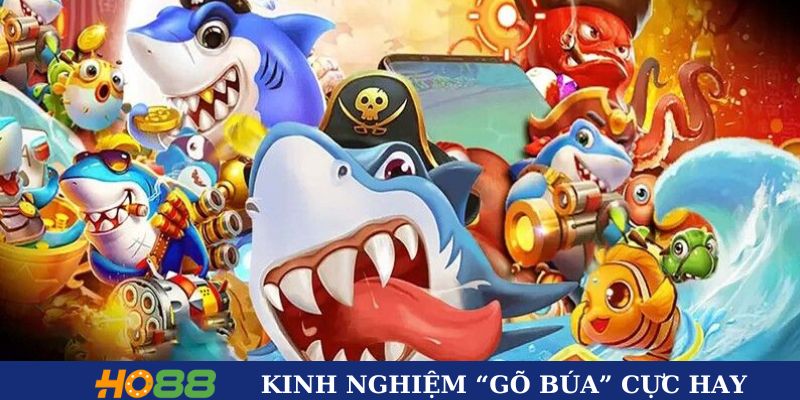 Kinh nghiệm “gõ búa” cực hay