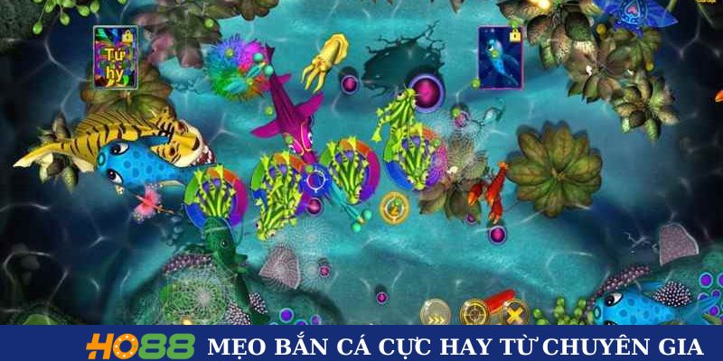 Mẹo bắn cá cực hay từ chuyên gia