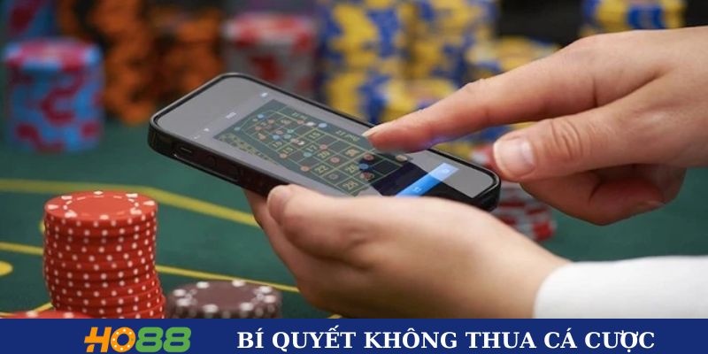 Những bí quyết làm thế nào để không thua cá cược