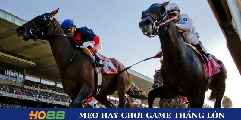 Những mẹo hay khi tham gia đua ngựa