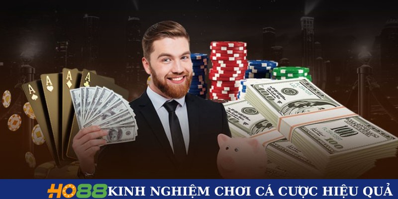 Kinh nghiệm chơi cá cược hiệu quả