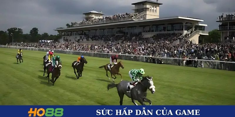 Sức hấp dẫn của đua ngựa