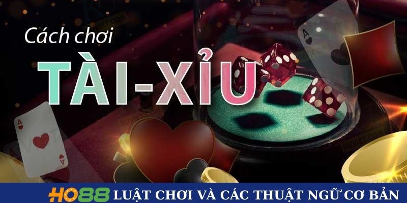 Luật chơi và các thuật ngữ cơ bản trong tài xỉu
