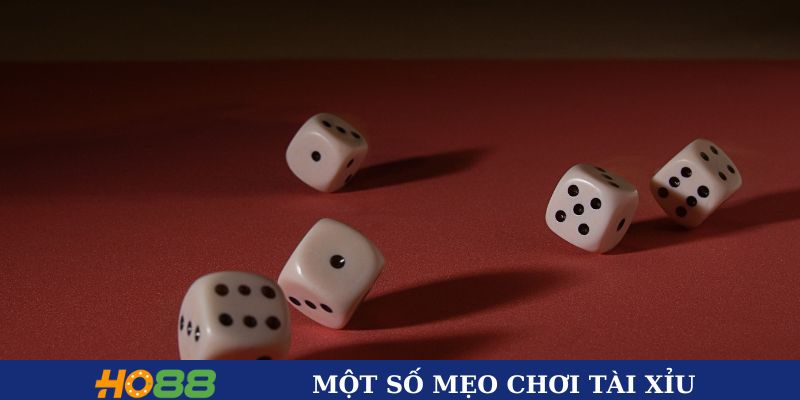 Một số mẹo chơi tài xỉu tại Ho88 hữu ích nhất 2025