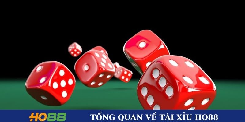 Tổng quan thông tin về tài xỉu Ho88