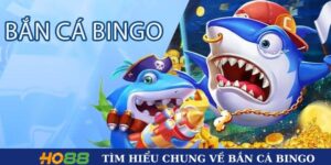 Tìm hiểu chung về bắn cá Bingo