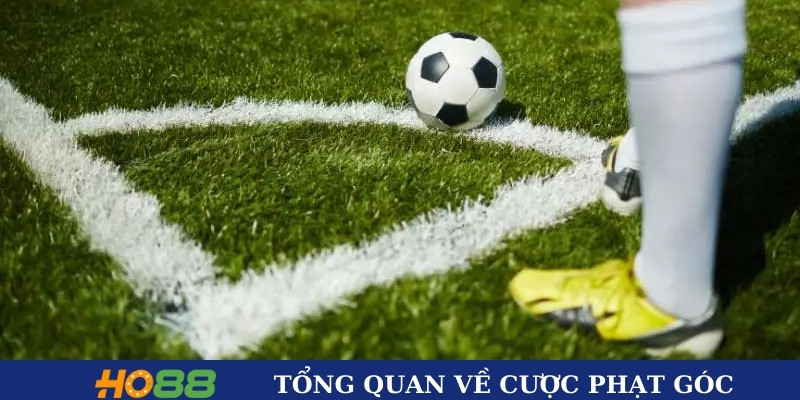 Giới thiệu về cược phạt góc Giới thiệu về cược phạt góc