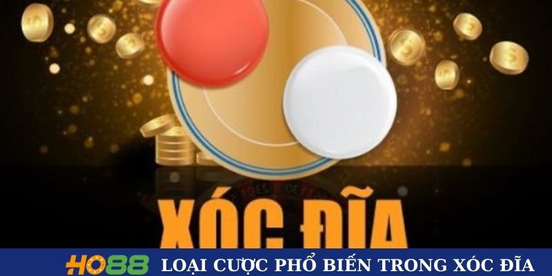 Các loại cược phổ biến trong Xóc Đĩa tại Ho88
