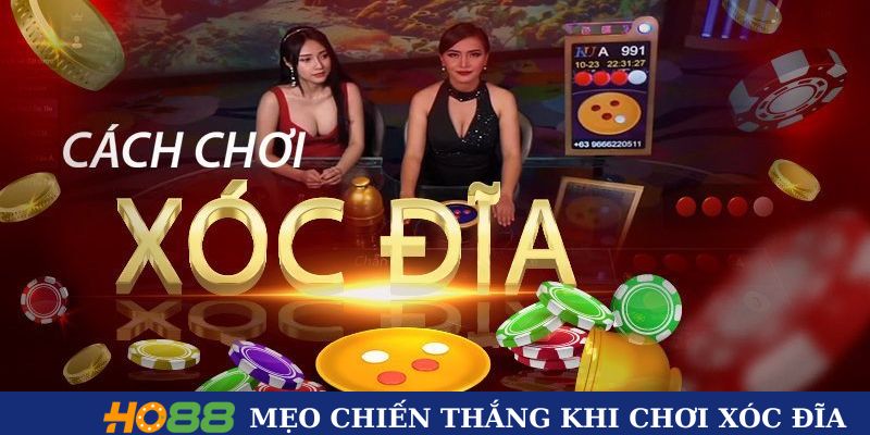 Mẹo tối ưu chiến thắng khi chơi Xóc Đĩa Ho88